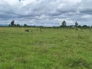 Residential Plot for Sale – Malaa (1/4 Acre)