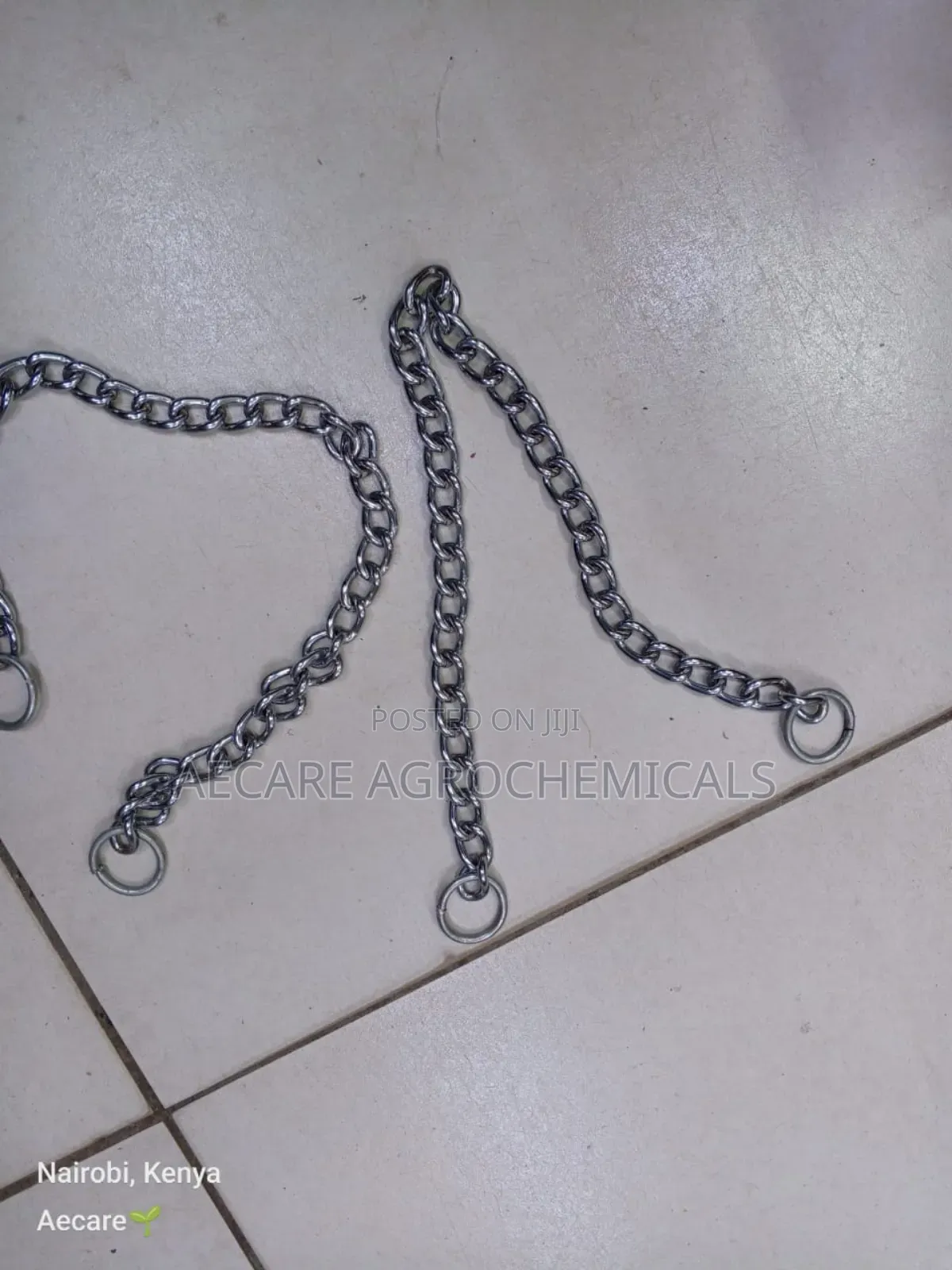 Dog Choke Chain: Small, Medium, Large (Silver)