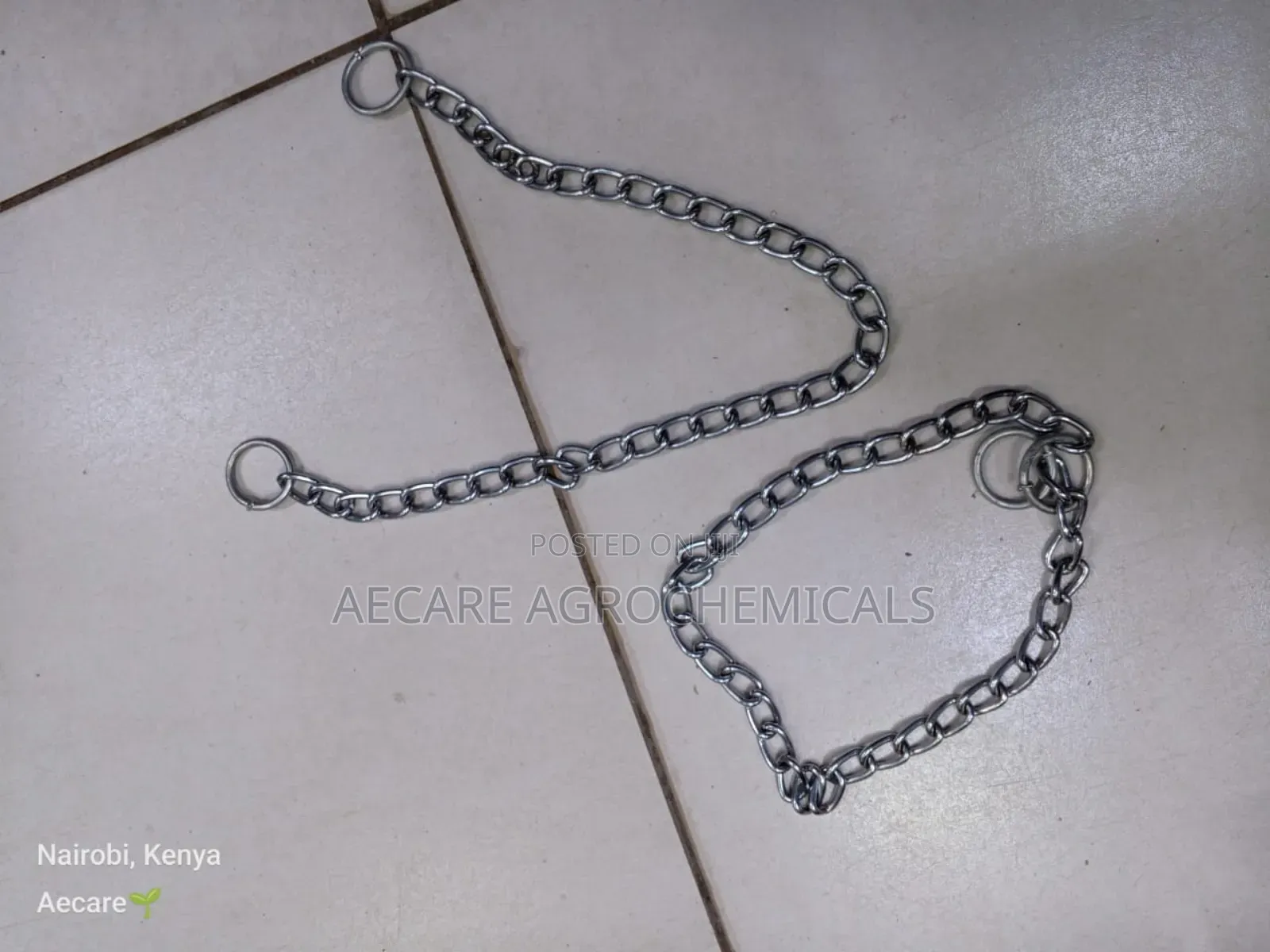 Dog Choke Chain: Small, Medium, Large (Silver)