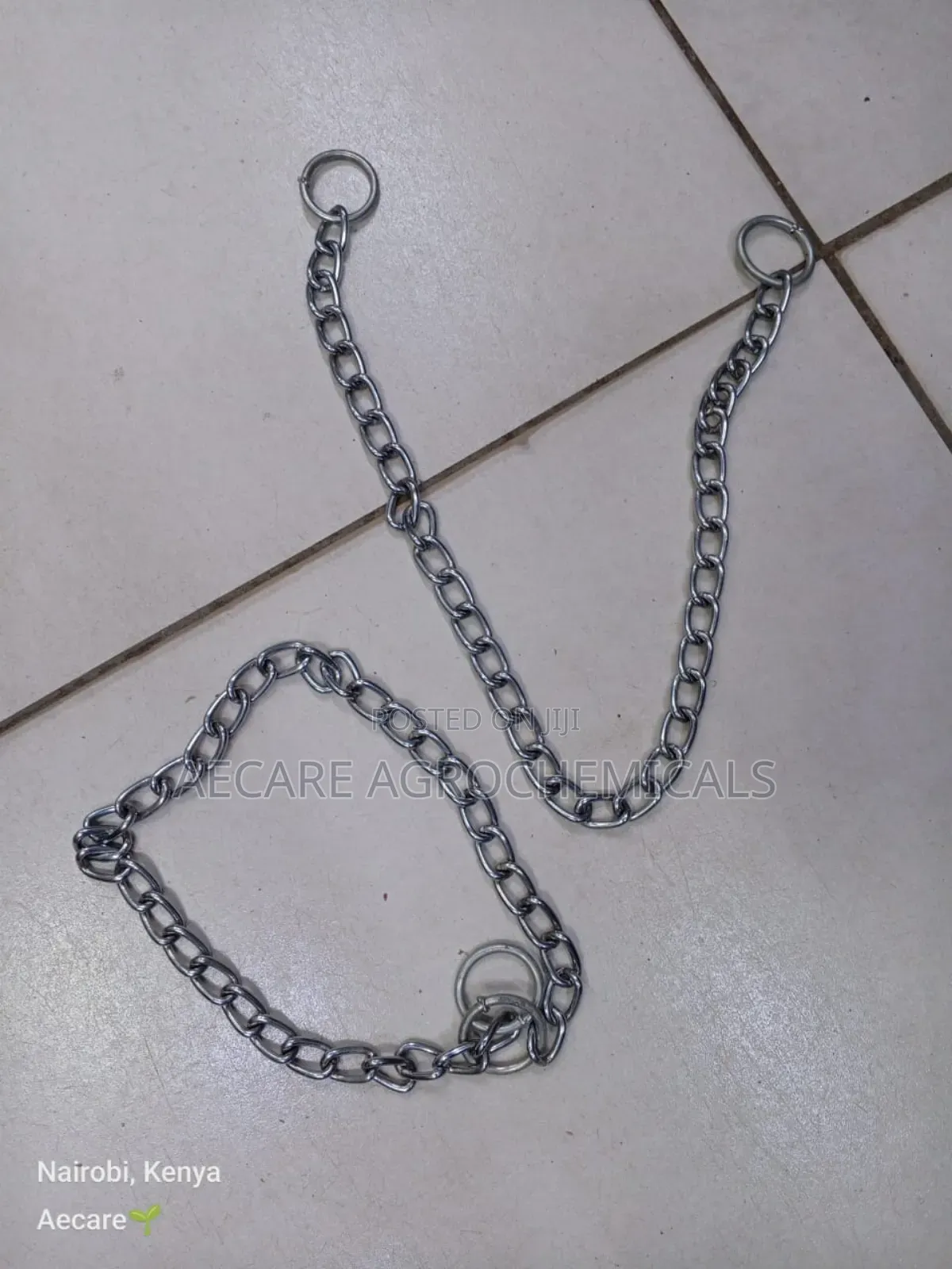 Dog Choke Chain: Small, Medium, Large (Silver)