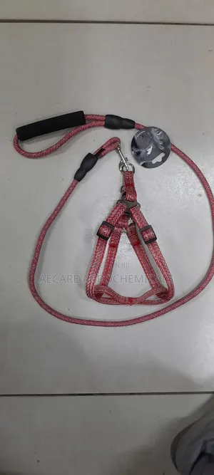 Dog Leash+ Harness/ Dog Lead + Harness  Small Size