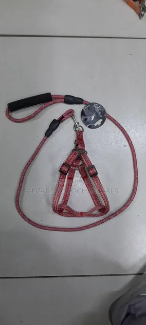 Dog Leash+ Harness/ Dog Lead + Harness  Small Size