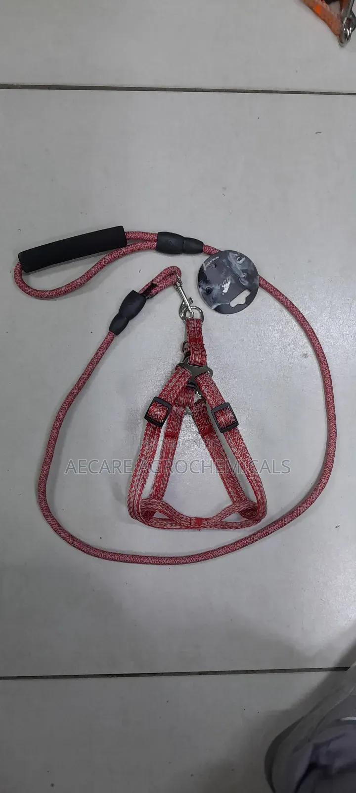 Dog Leash+ Harness/ Dog Lead + Harness  Small Size