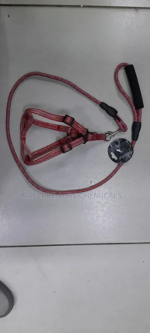 Dog Leash+ Harness/ Dog Lead + Harness  Small Size
