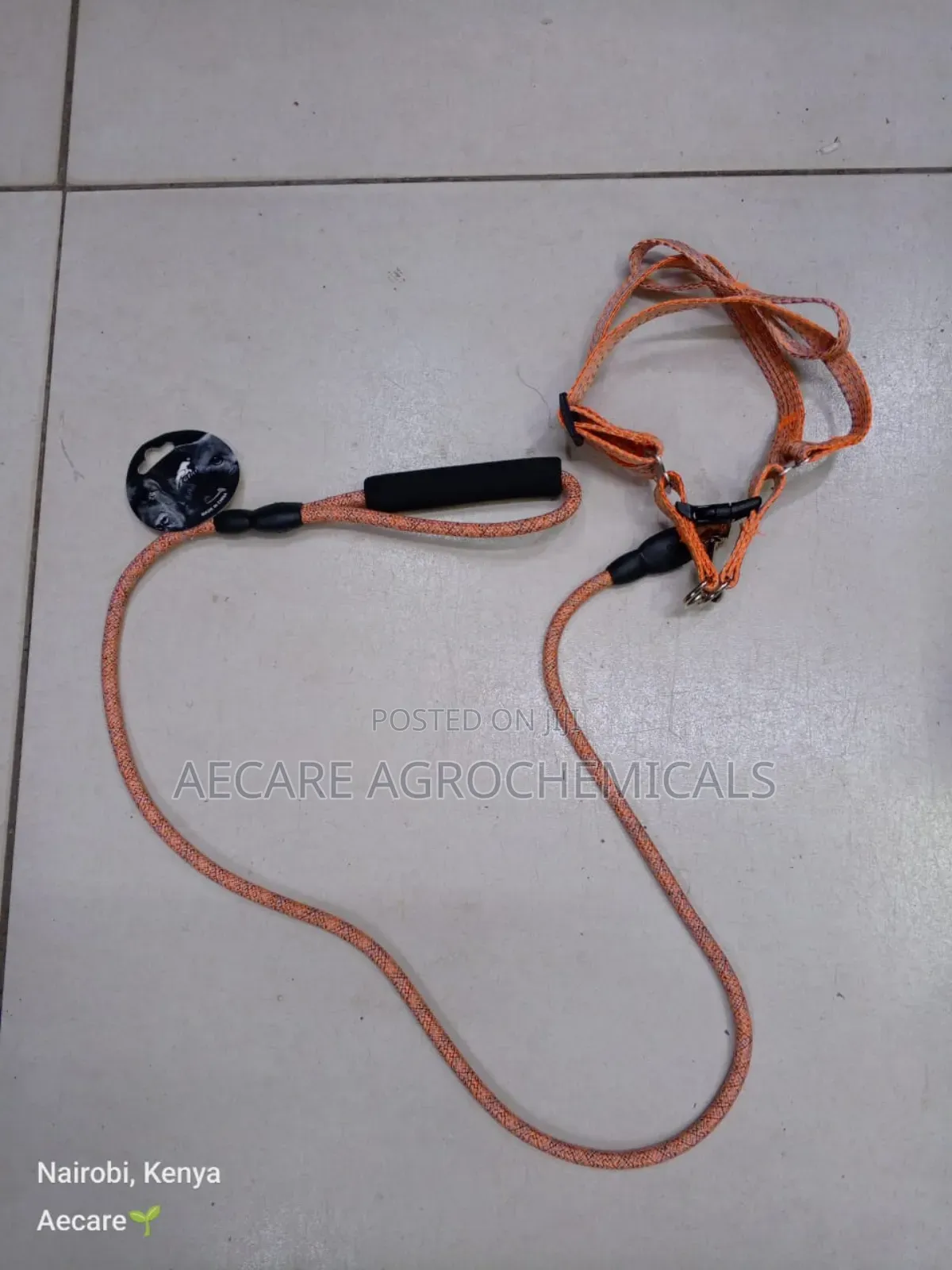 Dog Leash+ Harness/ Dog Lead + Harness  Small Size