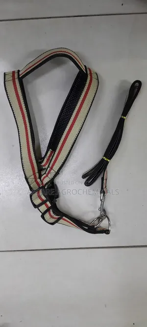 Large Dog Leash/Lead Annex + Large Dog Harness