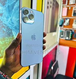 Apple iPhone 13 Pro Max 256 GB Gray
