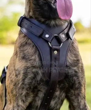 Genuine Leather Dog Harness - No Pull Dog Harness