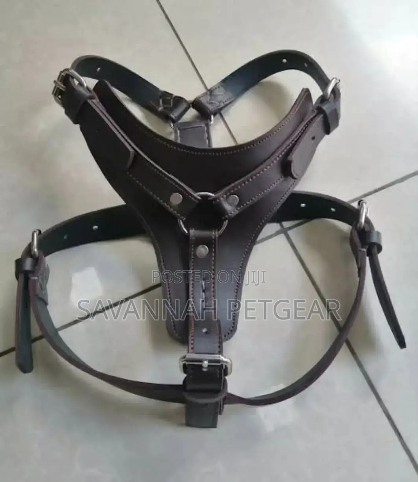 Genuine Leather Dog Harness - No Pull Dog Harness