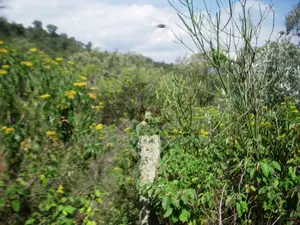 Kekopey Land Sale of 10 Acres