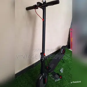 Electric Scooter for Adult