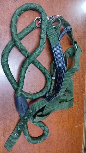 3-in-1 Dog Set- Leash, Collar and Harness
- Heavy Duty