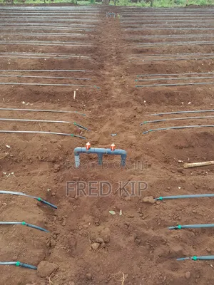 Dripline Irrigation System