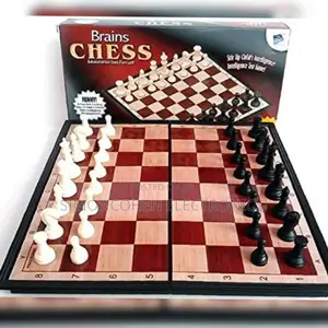 Brain Chess Magnetic Board Game