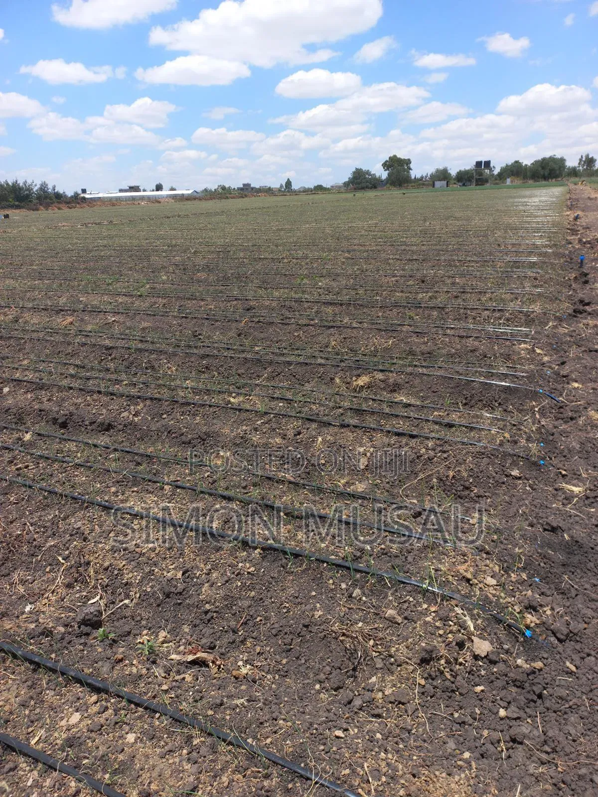 Greenhouse and Drip Irrigation System