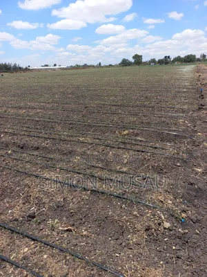 Greenhouse and Drip Irrigation System