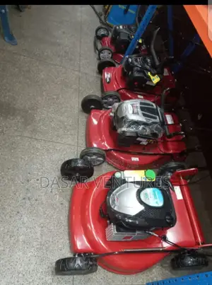 Briggs And Stratton Lawn Mowers.