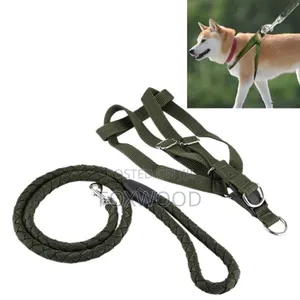 Dog Leash / Harness With Collar