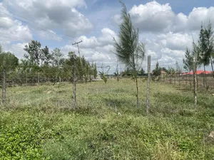 Plots for Sale in Yukos:50 by 100