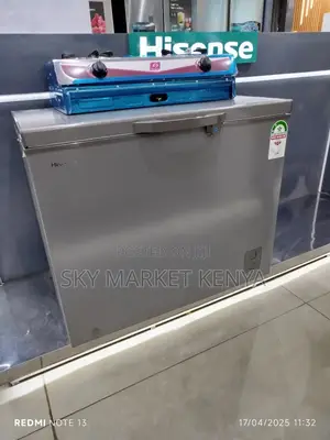 Hisense Chest Freezer 245 Litres Fc245sh