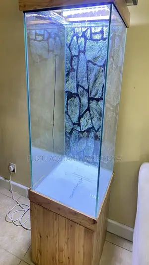 Stylish Aquarium With Cabinet – Fully Loaded Ready