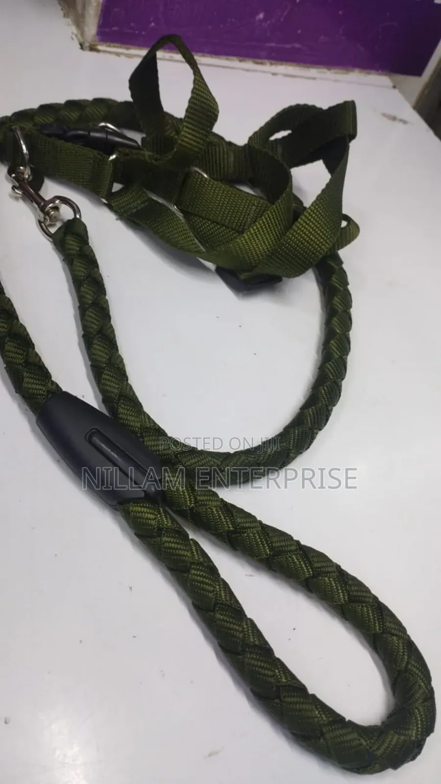 Dog Leash / Harness With Collar
