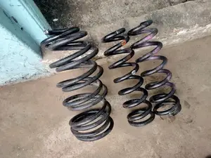 Prado 120 Coil Springs