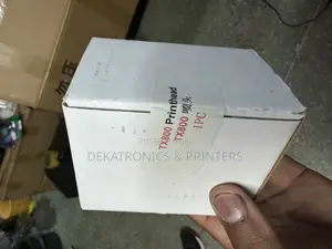 Epson Tx800 Printer Head