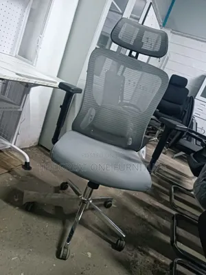 Beautiful Ergonomic Vision High Back Office Chair Jf4kb
