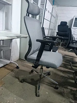 Gray High Back Ergonomic Mesh Office Chair Fw8km