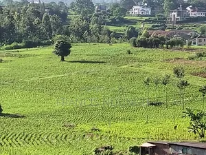 Residential Plot Anmer Next to Migaa Estate.