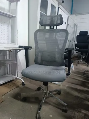 Beautiful Vision High Back Office Chair With Headrest Hf4es