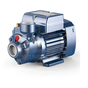 PKM 60 Pedrollo Automatic Pump.