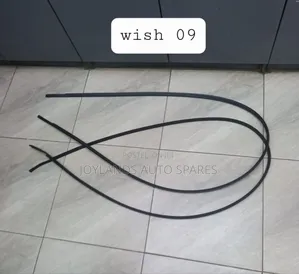 Wish 2009 Roof Moulding