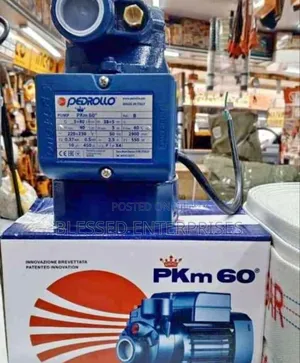 Modern Pedrollo Water Pump Pkm60/ Original Pedrollo Pump