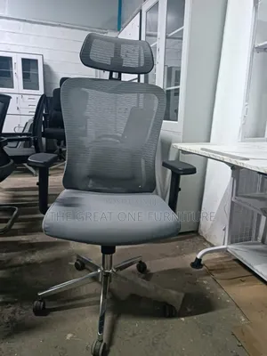 Elegant Mesh Office Chair With Headrest Df5r