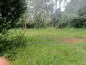 9 Acre Prime Hardy Karen