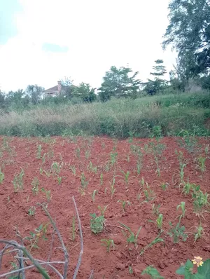 1/2 Acre on Machakos -Katheka Kai