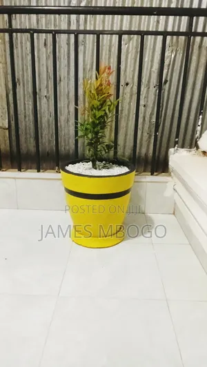 Flower Pots