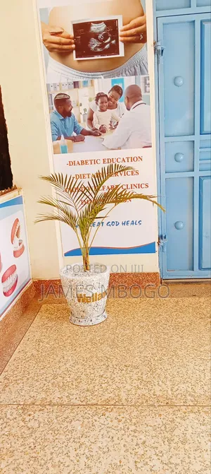 Flower Pots