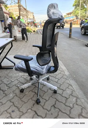 Ergonomic Double Back Orthopedic Chair With Court Hunger