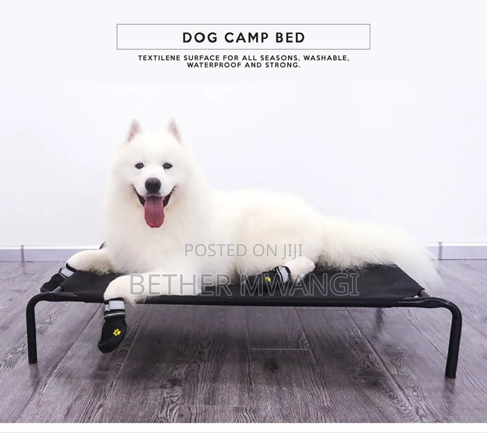 Dog Camp Bed in Kenya