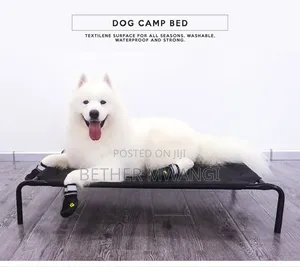 Dog Camp Bed in Kenya