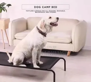 Dog Camp Bed in Kenya