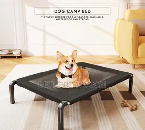 Dog Camp Bed in Kenya