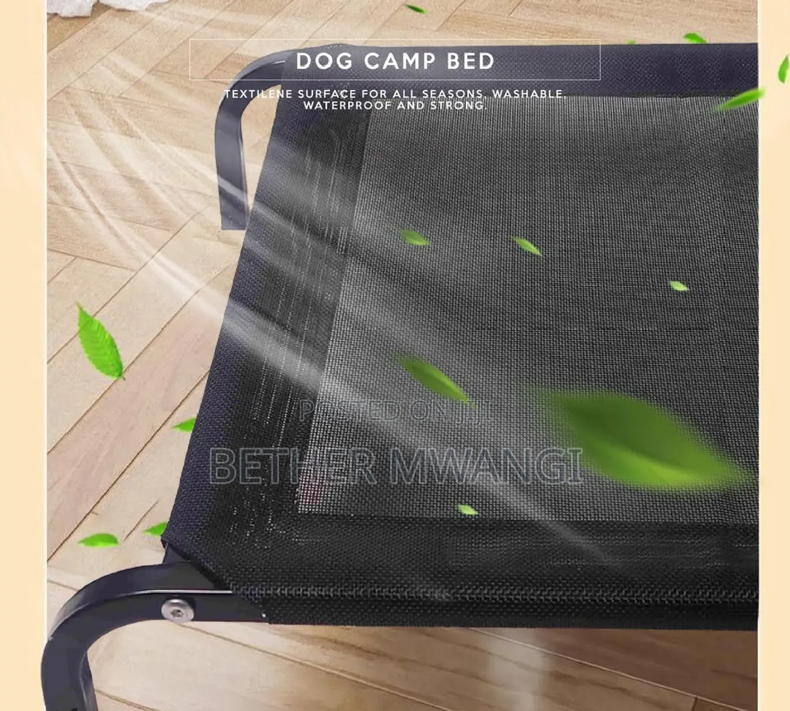 Dog Camp Bed in Kenya