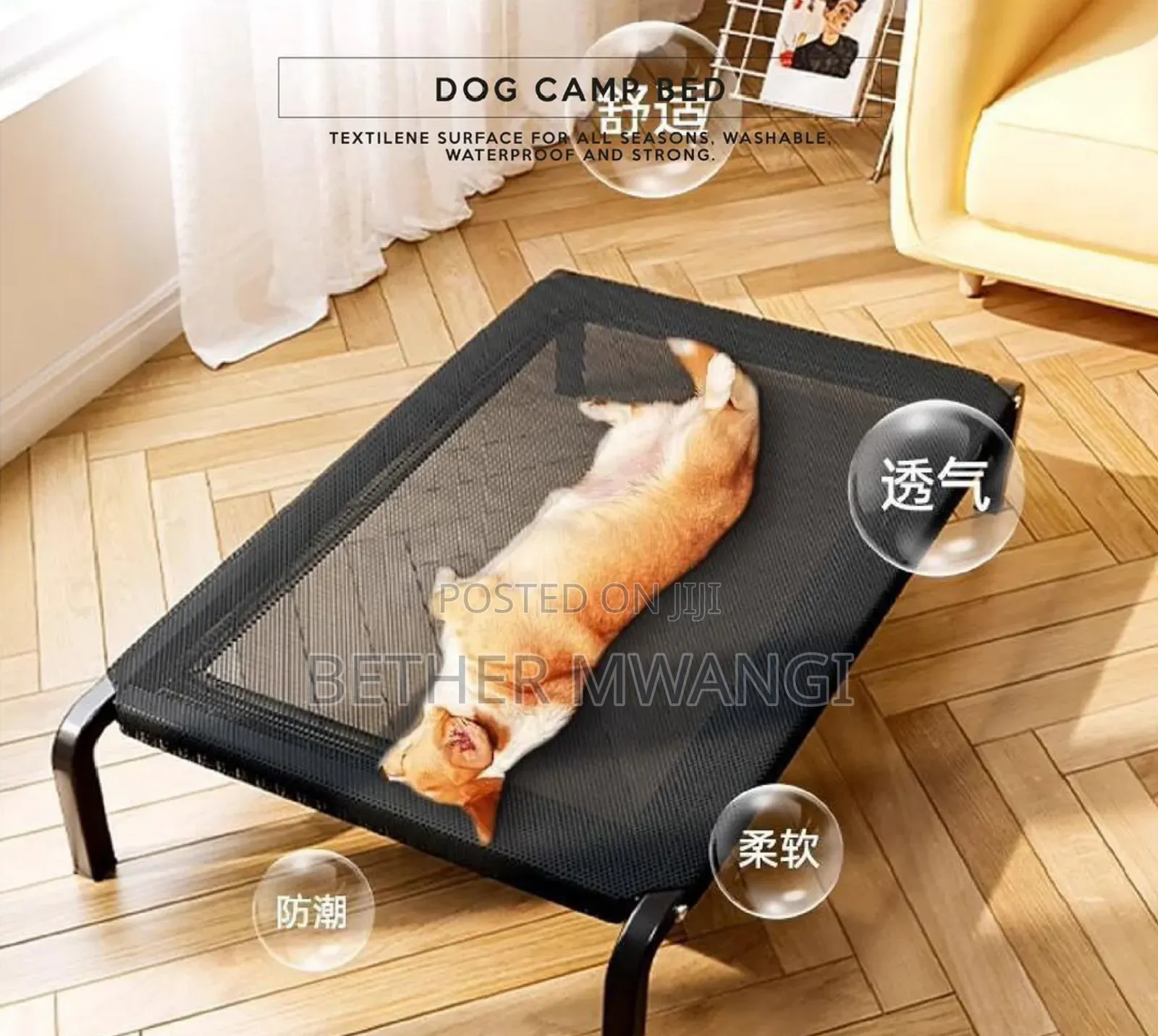 Dog Camp Bed in Kenya