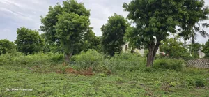 Mtwapa Jumba Ruins, 4.5 Acre Plot for Sale