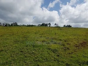 5 Acres Maai Mahiu