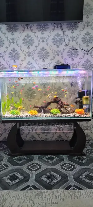 Ready Made Aquarium